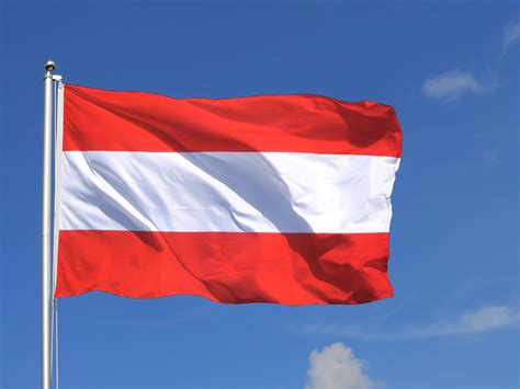 Fahne österreich bild